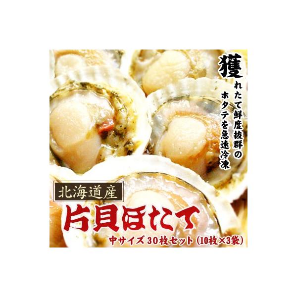 z^eƂΖkC ЊLz^e TCY 30Zbg͑ʓrZ 䒆 Lv čՂ