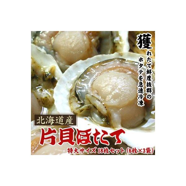 z^eƂΖkC ЊLz^e TCY 18Zbg͑ʓrZ Ε NX}X 