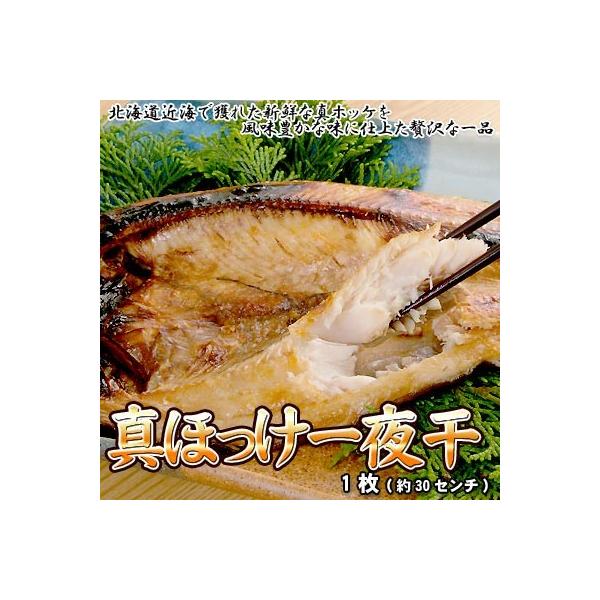 ^zbP銱 zbPJ قJ 1 Ε NX}X 