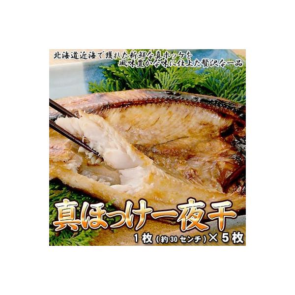 ^zbP銱 zbPJ قJ 5  ͑ʓrZ Ε NX}X 