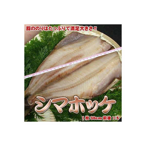 Ȃق J 銱 zbPJ قJ V}zbP 5  ʓrZ Ε NX}X 