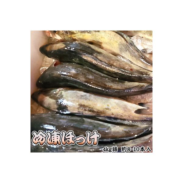 kCΘpY@ⓀzbP4kgli8-10{j ʓrZ  Ε NX}X 