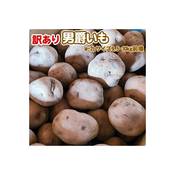 Ⴊ 󂠂kC Ⴊ j݂ M-2LTCY 9.5-10kgO  ͑ʓrZ 䒆 Lv čՂ