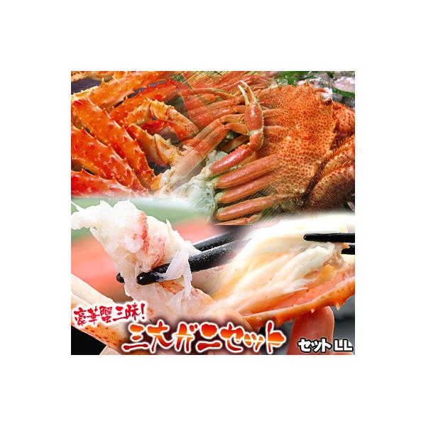 Jj ؊IO OKjZbgLL  ͑ʓrZ Ε NX}X 