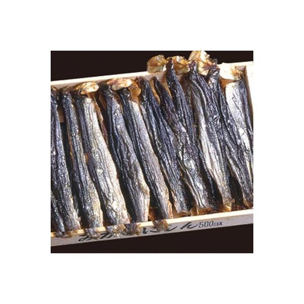 gɂ 500g×2  ͑ʓrZ 䒆 Lv čՂ