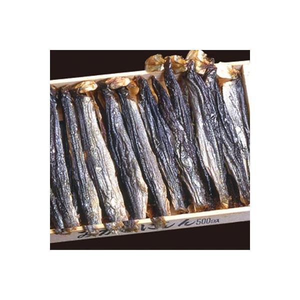 gɂ 500g×5  ͑ʓrZ 䒆 Lv čՂ