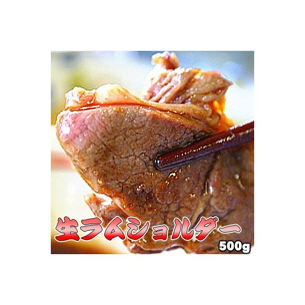  V_[ 500g WMXJ Ε NX}X 