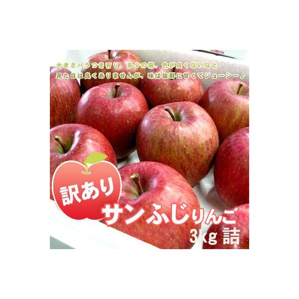 素晴らしい価格 否バラ詰めわけあり 青森県産 青りんご sonhaflex.pt