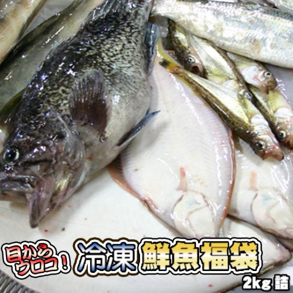 鮮魚の美味しさを急速冷凍で閉じ込めました♪お魚好きにはたまらない商品 意外な高級魚からその土地ならではの魚まで発送当日まで当店でもわかりません 腕に自信のある方はチャレンジしてみてはどうでしょうか ぜひ一度お試し下さいませ 内容量 2kg詰...