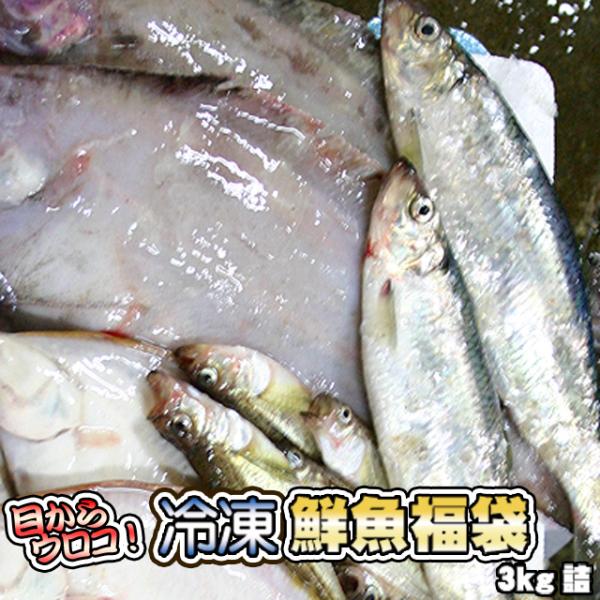 鮮魚の美味しさを急速冷凍で閉じ込めました♪お魚好きにはたまらない商品 意外な高級魚からその土地ならではの魚まで発送当日まで当店でもわかりません 腕に自信のある方はチャレンジしてみてはどうでしょうか ぜひ一度お試し下さいませ 内容量 3kg詰...