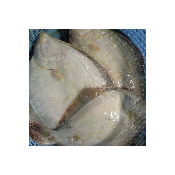 N}Ⓚ AToJC HJC 3kg i9-15j kCY Θp  ͑ʓrZ 䒆 Lv čՂ