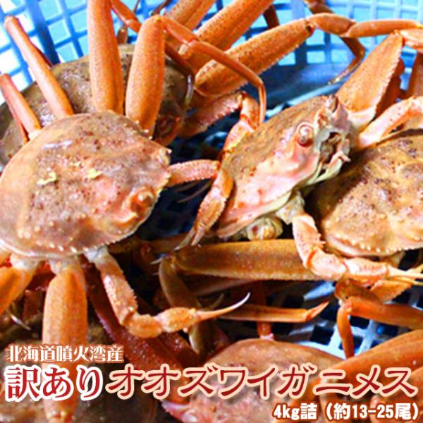 セイコガニ 活 北海道産 香箱ガニ せいこ蟹 せいこがに セコガニ 訳あり たっぷり4kg詰 13 25尾 身入り7分前後 送料無料 沖縄送料別途加算 Buyee Buyee Japanese Proxy Service Buy From Japan Bot Online