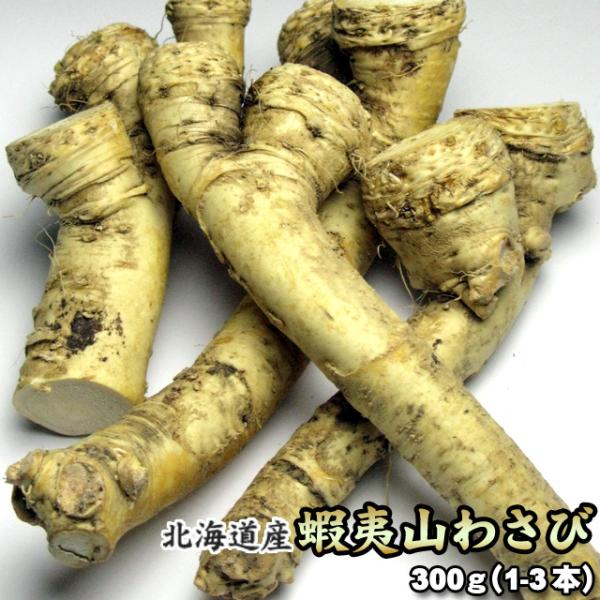 山わさび 北海道産 蝦夷山わさび 西洋わさび 300g 送料無料沖縄は送料