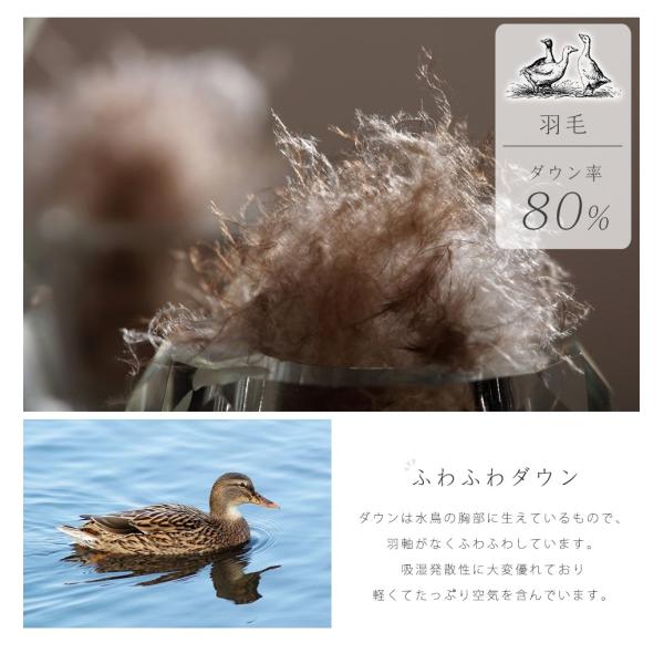 寝袋 ダウン80 シュラフ ダウンケット 羽毛寝袋 洗える 軽量 封筒型 コンパクト アウトドア 車中泊 Buyee Buyee Japanese Proxy Service Buy From Japan Bot Online