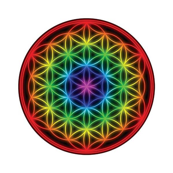 スクライングミラー レインボウフラワーオブライフ Buyee Buyee 日本の通販商品 オークションの代理入札 代理購入