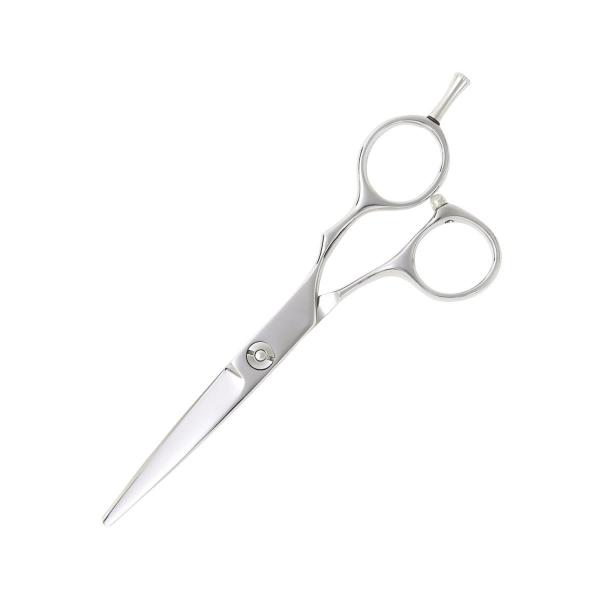 DEEDS プロ用 美容師 GBZ シザー (5.5インチ) 日本の鋏専門メーカー