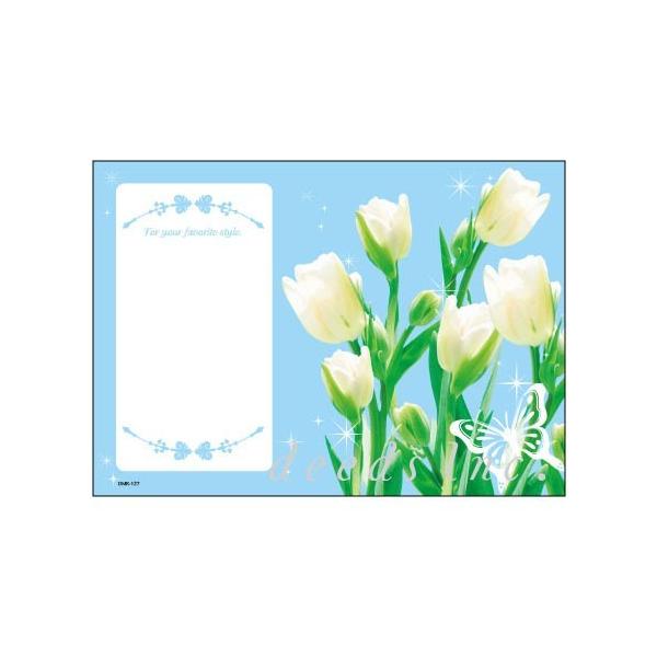 DEEDS |XgJ[h DM-K127 250 / _CNg[ ͂ e T lC GXe