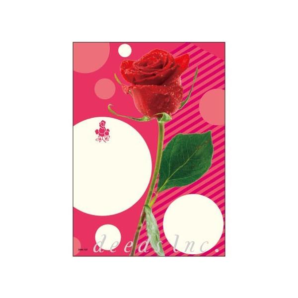 DEEDS |XgJ[h DM-K107 250 / _CNg[ ͂ e T lC GXe