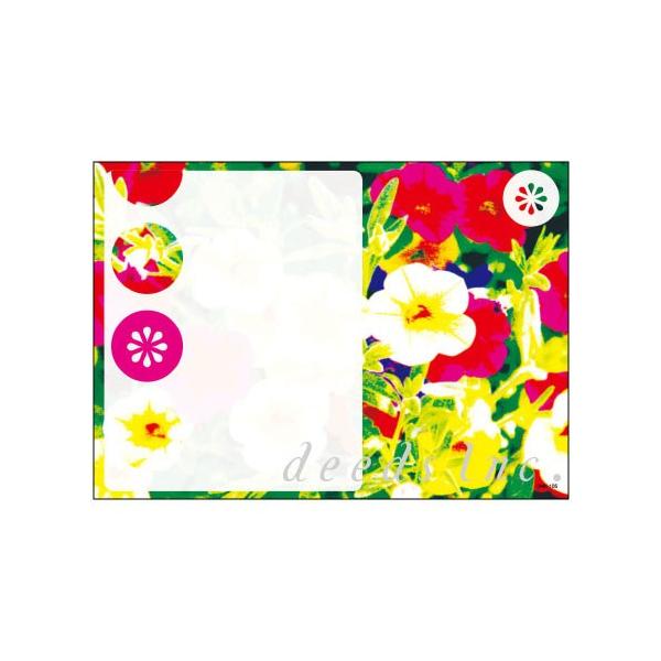 DEEDS |XgJ[h DM-K105 100 / _CNg[ ͂ e T lC GXe