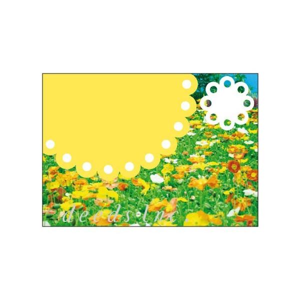 DEEDS |XgJ[h DM-K104 250 / _CNg[ ͂ e T lC GXe