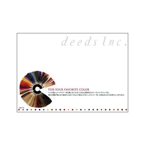 DEEDS |XgJ[h DM-J113 J[̂UbZ[W 250 / _CNg[ ͂ e T lC GXe