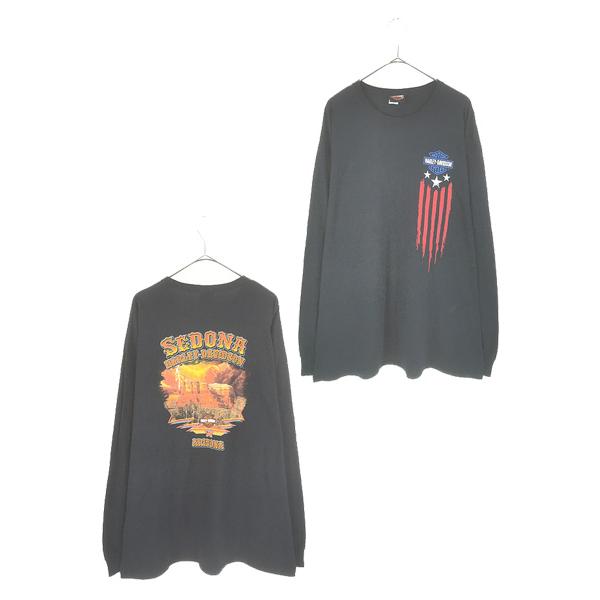 HARLEY DAVIDSON ロンT ハーレーダビッドソン ARIZONA 古着 HARLEY DAVIDSON バー&シールド 星条旗 「ARIZONA」 グラフィック