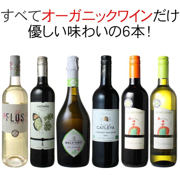 ワイン ワインセット オーガニック 6本 セット ユーロリーフ認定