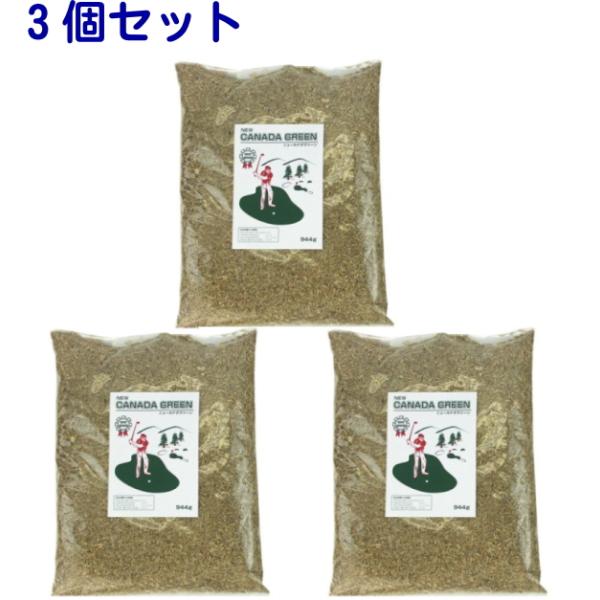 芝生 種 芝生種