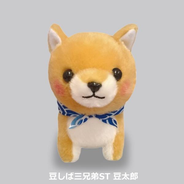 在庫あり 豆しば三兄弟ST 豆太郎 アミューズ 高さ13cm 長男 ぬいぐるみ