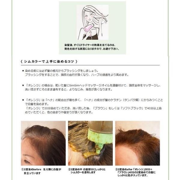 dragon-bee_cy-1016561_5