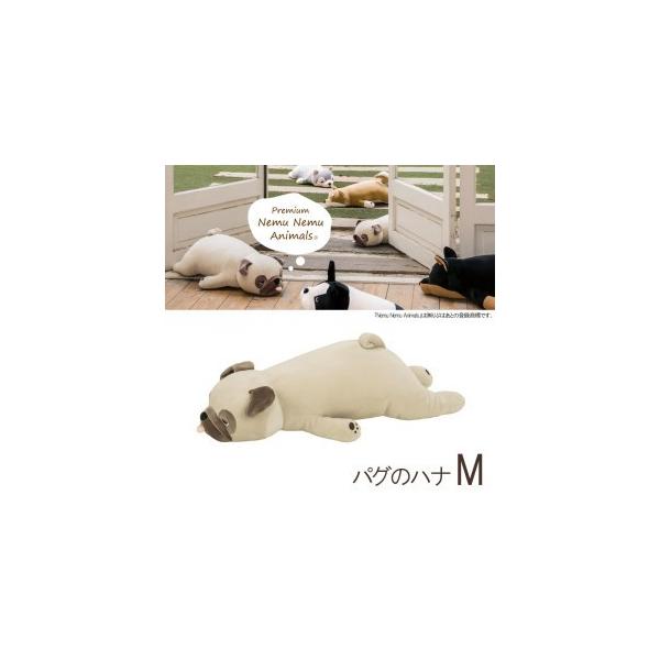 y[z v~A˂ނ˂ ܂ MTCY pÕni ˂ނ˂  pO NX}X v[g Ԃ͂ Ki ̓