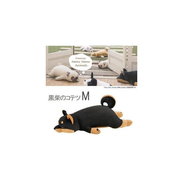 y[z v~A˂ނ˂ޕ܂ MTCY ẴRec ˂ނ˂  NX}X v[g Ԃ͂ Ki ̓