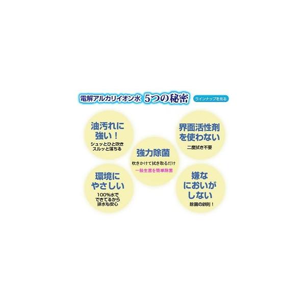 dragon-bee_ot-994000515_1