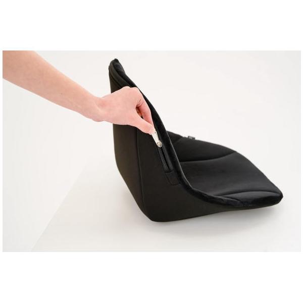 dragon-bee_sf0002-92007_4_d_20221231202038