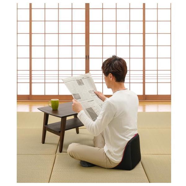 dragon-bee_sf0002-92007_6_d_20221231202046