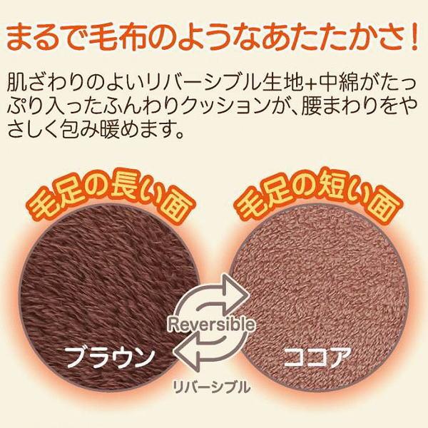 dragon-bee_sf0002-96371_3_d_20241101160635