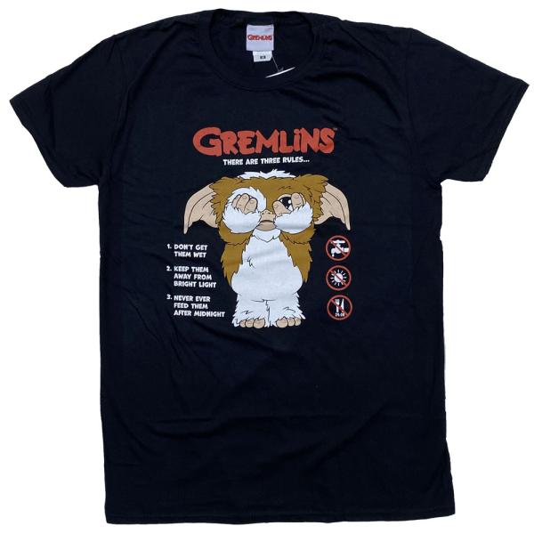 は*る様 グレムリン フィギュア Tシャツ付き 約20cm dragtrain_grem-rule