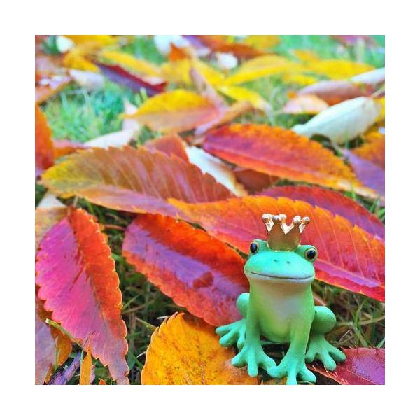 ポイント消化 ポイント消費 雑貨 おしゃれ 北欧 レディース インテリア雑貨 インテリア カエル 置物 コポー カエルグッズ コポー カエル カエルのコポー カエルの置物 かえる ダイカイ 可愛いカエルの置き物 カエル置物 コポタロウ コポー