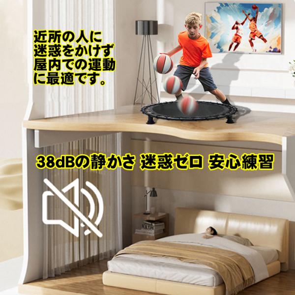 バスケ ドリブル ネット サイレントドリブラー 防音 マット 室内 練習