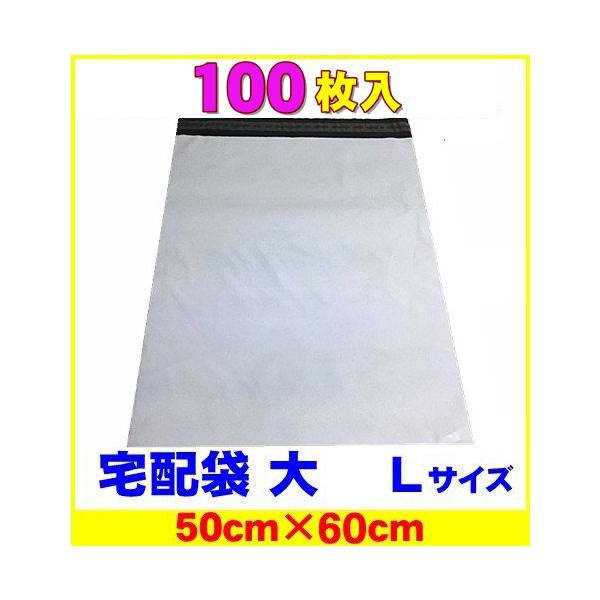 z rj[  L   100 Ɩp ̓e[vt F |30L 50×60cm 100 zprj[ 傫