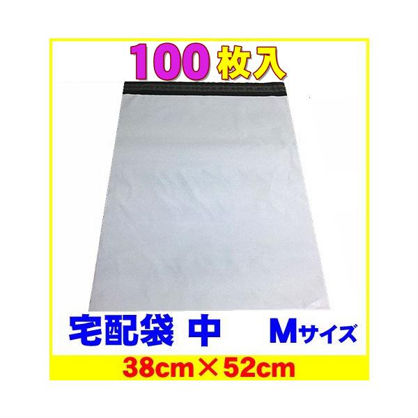 z rj[  M   100 Ɩp ̓e[vt F |20L 38×52cm ʔ h 100