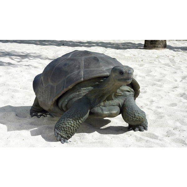 アニマルビッグフィギュア【ガラパゴスの陸ガメ】（等身大フィギュア