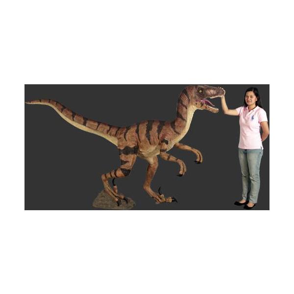 長さ269cm！ヴェロキラプトル 等身大フィギュア ※この商品は別途送料