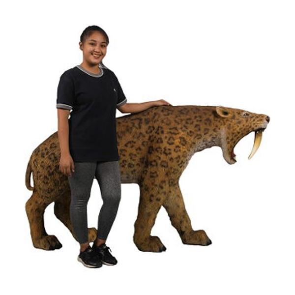 ぷ*ー様 サーベルタイガー　実寸大　化石　レプリカ dream-f_fr180148