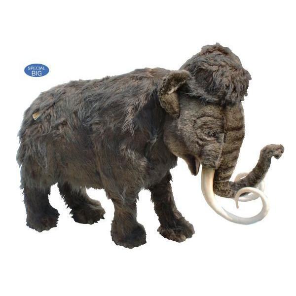 HANSAʂ݁y}XEiSF220cm)zigtBMAj