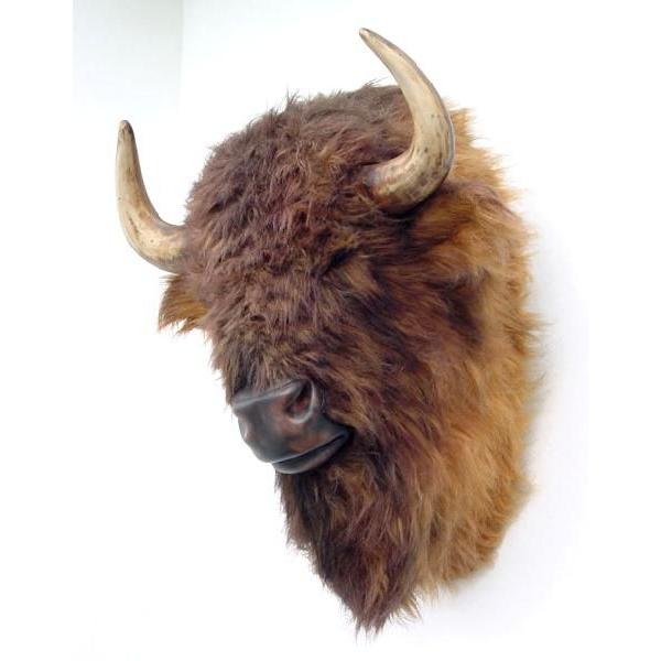 バッファロー壁掛け