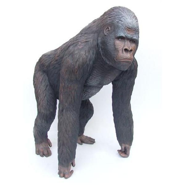 アニマルビッグフィギュアシリーズ【獲物を探すゴリラ】（等身大