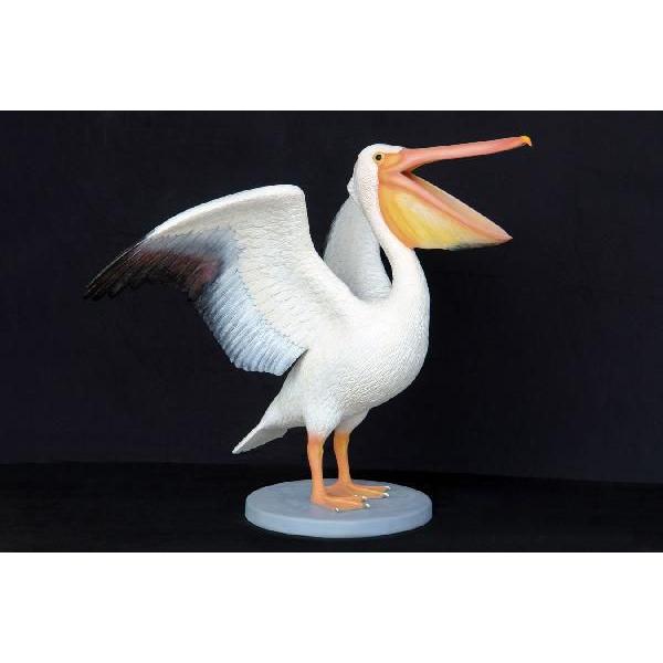 アニマルビッグフィギュアシリーズ ペリカン 大 等身大フィギュア Imp 2696 ドリームフィギア 通販 Yahoo ショッピング