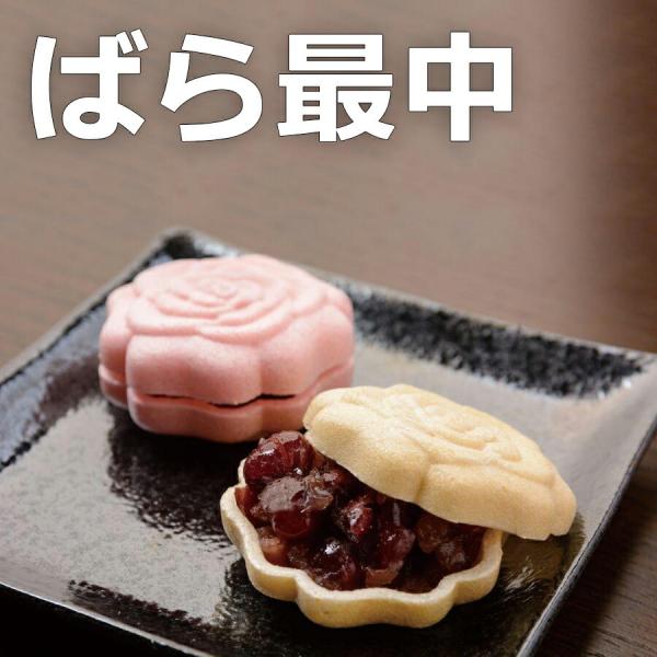 hV̓ Mtg Hi XC[c Hו ΂Œ 8 Ȃ v[g aَq CX^f  ُx Rs