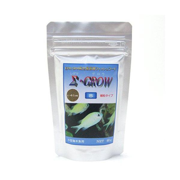 ǂ傤{B VO}EOE B ח^Cv ^Cp 60g